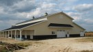 New Beautiful Horse Barn