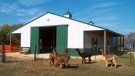 Livestock Buildings