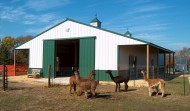 Colorado Livestock Buildings to Suit Dairy/Beef/Hog Production Needs