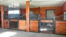 Custom Horse Stalls