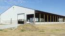 Colorado Beef Cattle barn