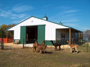 Ranch Buildings El Paso County