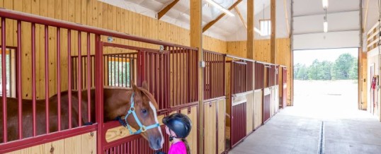 Why is Ventilation a Big Key for Colorado Equine Buildings?