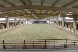 Colorado horse arenas