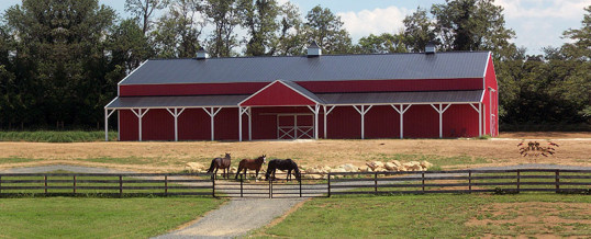 Backyard Equine Arenas in Ebert County