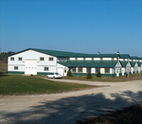 Equine Arenas