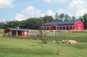custom horse buildings