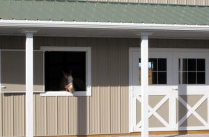 custom horse barns