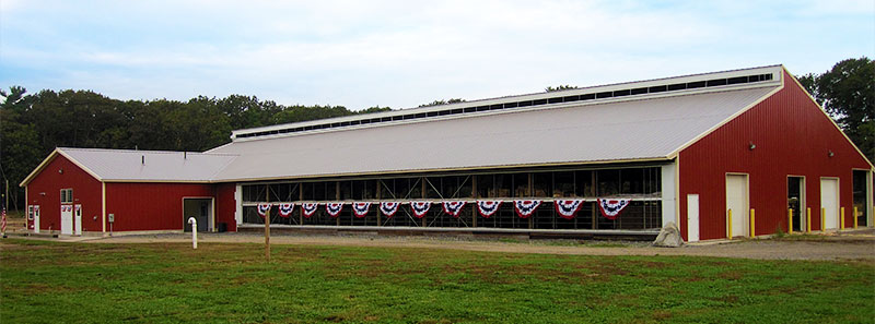 Cowing Building Cattle Building Designs