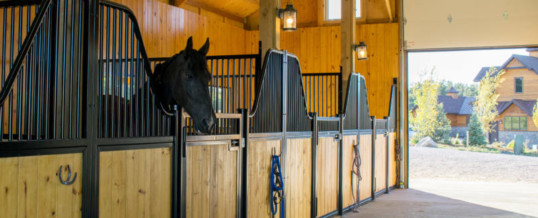 Horse Barns at Home Strike a Colorado Chord