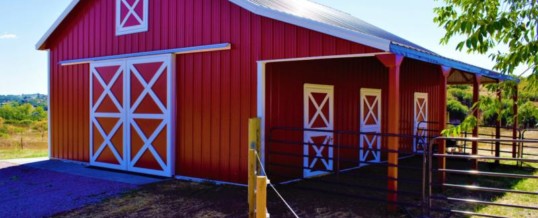 Does Your Horse Need Something More than a Shed?