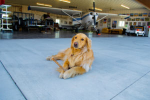 Airplane Hangar