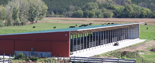 Livestock Buildings to Make Llamas Cows Pigs and You Happier