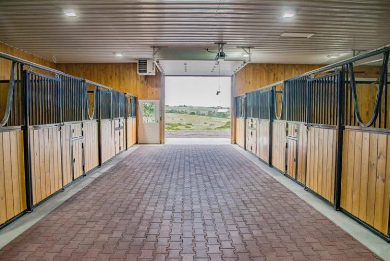 Parker Colorado Horse Complex A Blueprint for Equestrian Success