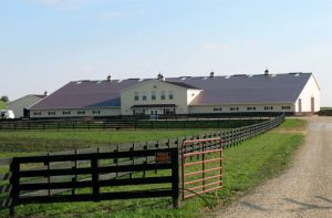 roping arenas