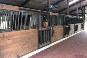 Horse Barns in Colorado