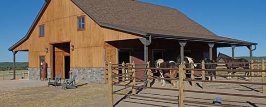 Try One of our Dashing 3 Stall Pole Barns and Get-On Giddy Up’n