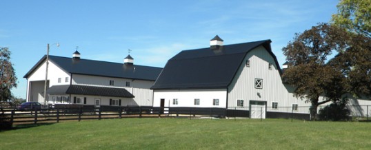 Give Me a Peaceful Colorado Barn for My Horse and My Farm