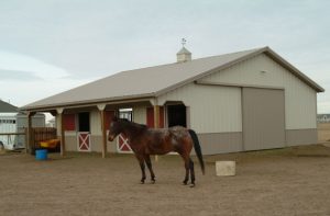 Horse Barns