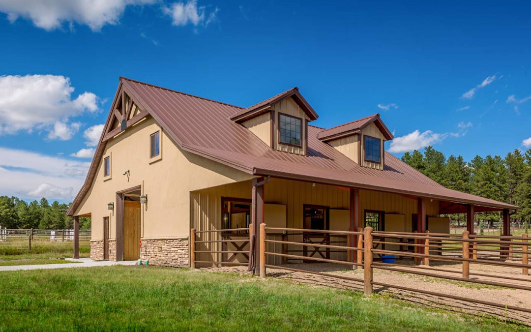 Horses around Elbert County Equine Centers