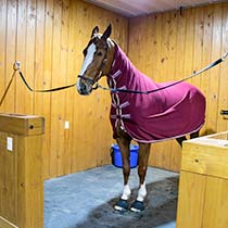Custom Finish Options Horse Grooming Stalls