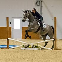 Custom Finish Options Insulated Wall Ceiling Interior Liners  for Horse Arenas