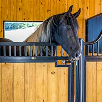 T&G INTERIOR STALL FINISHES