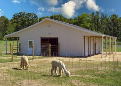 Colorado Livestock Pole Barn Alpacas