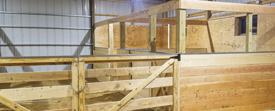 For Perfection: Arrange Lester Horse Stalls in Engineered Pole Barns