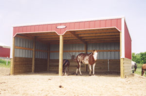 Building Kits for Stables