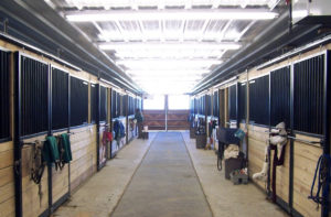 horse barns for sale