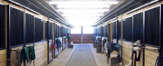 Horse Stables for Boarding, Equestrian Arenas for Training