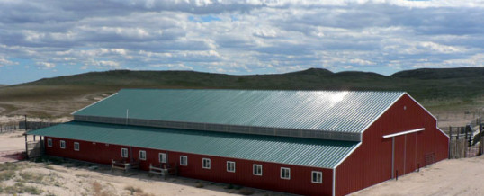 What Do I Need to Know About Colorado Steel Buildings?