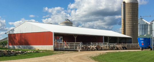 Commercial Livestock Building or Barns for Small Herds