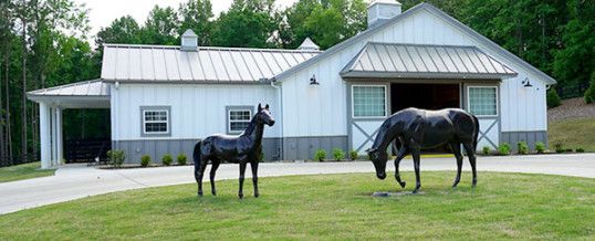 Horse Stables Can Definitely Upgrade a Vacant Lot