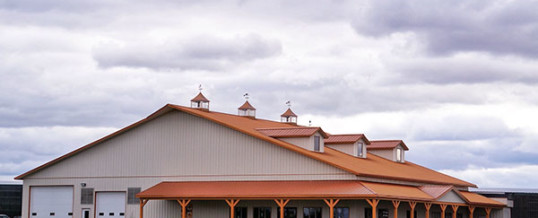 A Strong Statement: Livestock Building with Curb Appeal