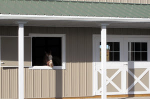 Equestrian Buildings