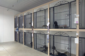 Facilities for Animal Boarding