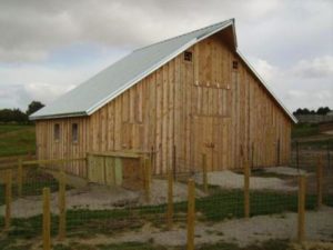 Livestock Barns