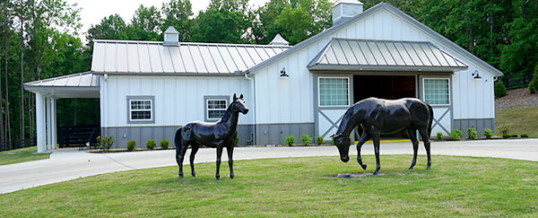 Equestrian Lifestyle and Horses in Colorado