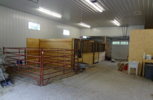 equestrian hobby building