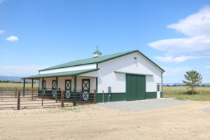 Barns and Horses
