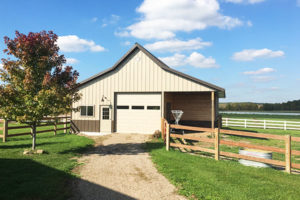 Barns and Horses