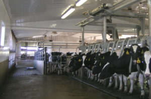 Dairy Parlor