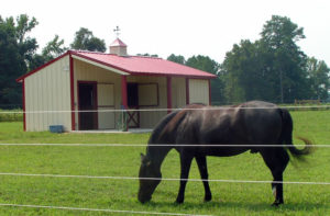 Small Horse Stables