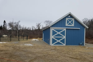 Small Horse Stables