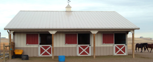 Bare-Bone Requirements for Horse Stables