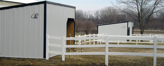 Use Run-in Sheds to Give Horses Freedom to Move