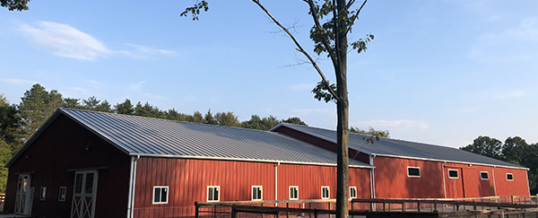 Spruced-Up Horse Barns and Custom Barns