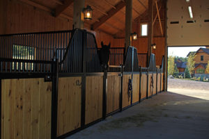 Horse Stables